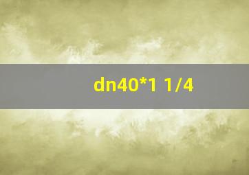 dn40*1 1/4